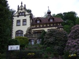 2011- 319.jpg